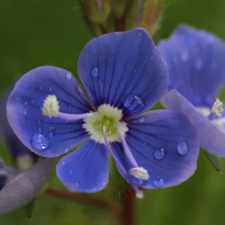 Konukevi Brandstaetterhof