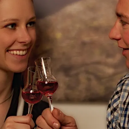 Brandstaetterhof 3* Шладмінг