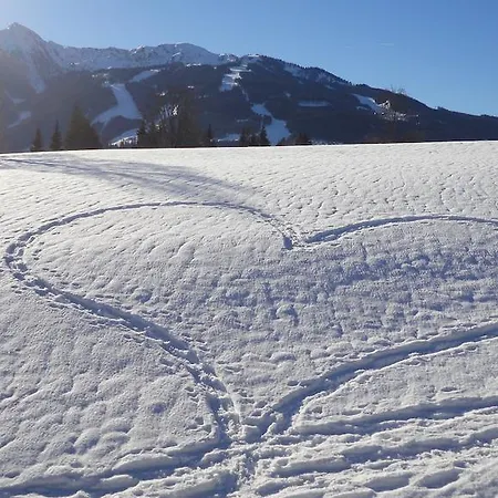 Brandstaetterhof 3* Schladming