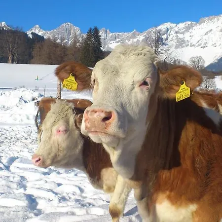 Brandstaetterhof Konukevi 3*