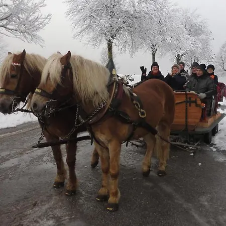 Гостьовий будинок Brandstaetterhof 3*