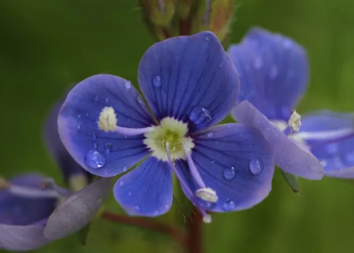 בית הארחה Brandstaetterhof