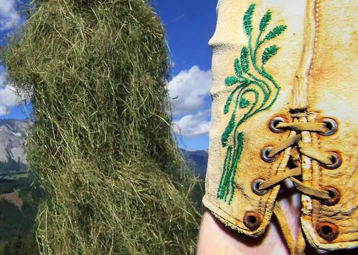 בית הארחה Brandstaetterhof