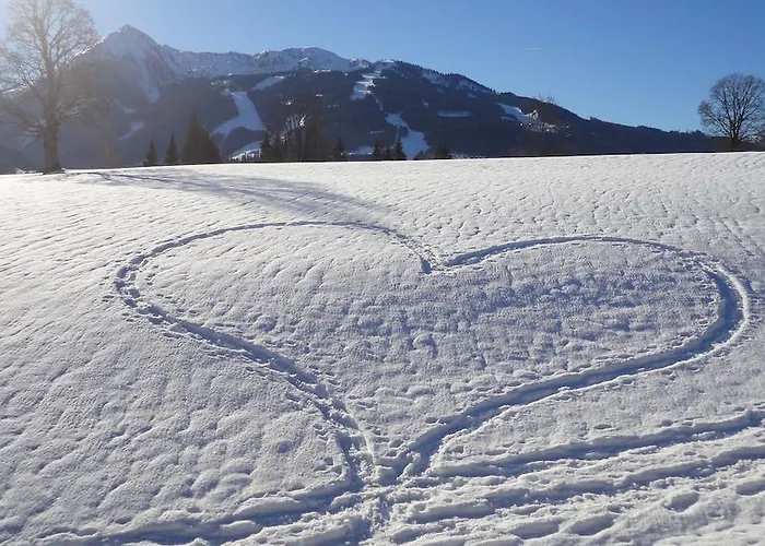 Brandstaetterhof 3* שלאדמינג