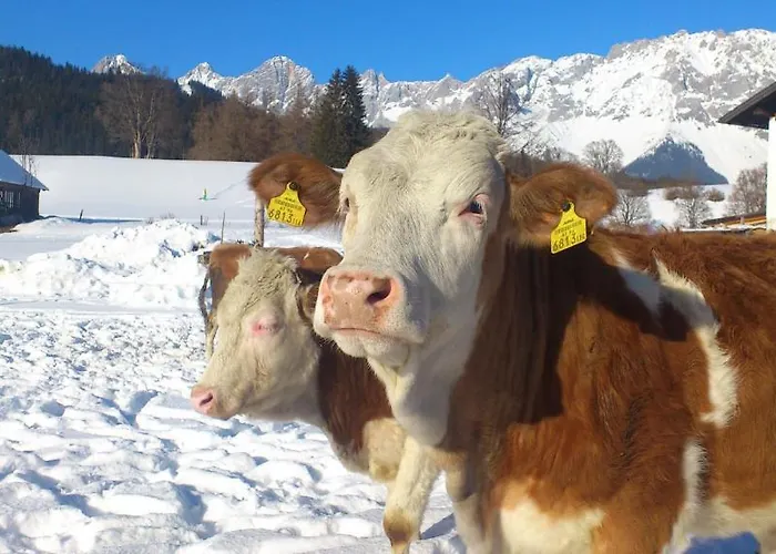 Brandstaetterhof Gæstehus 3*